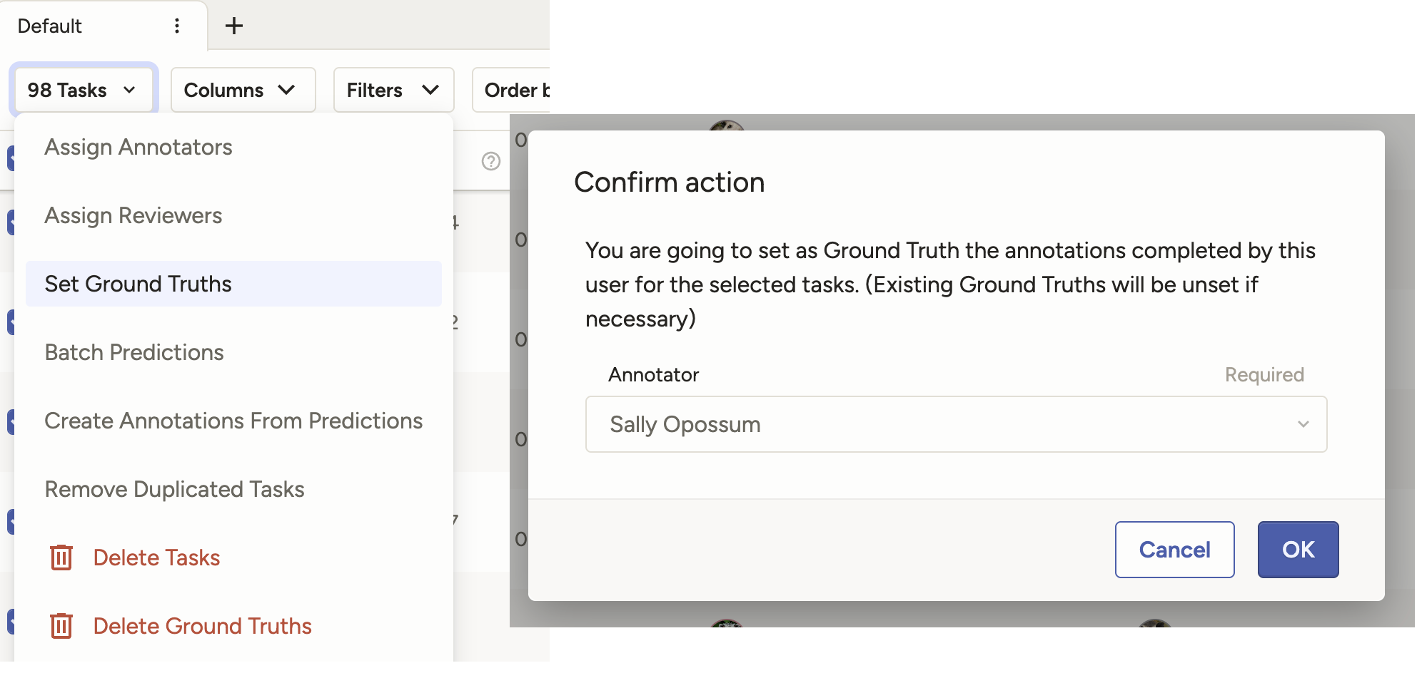 screenshot of ground truth column